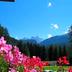 Outdoors view