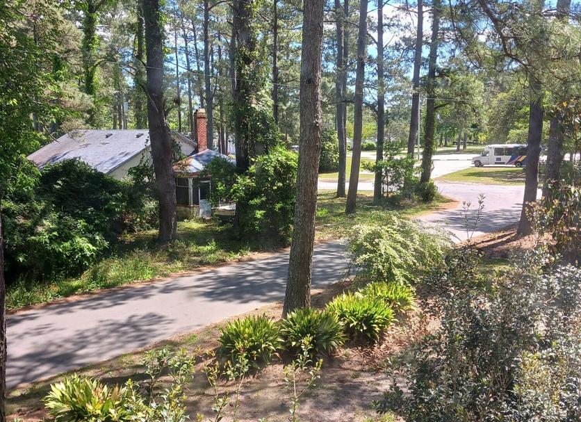 Outdoors view Photo