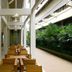 Chern Bangkok in Bangkok featuring a covered courtyard dining area with wooden tables and chairs