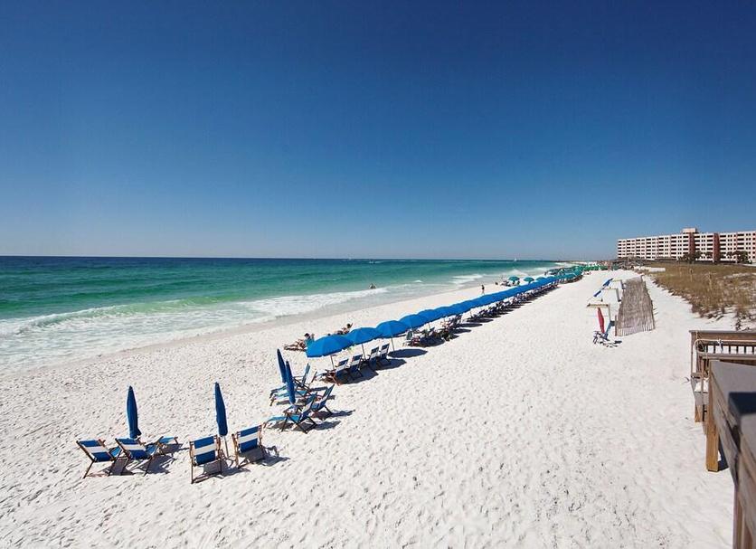 Beach Photo