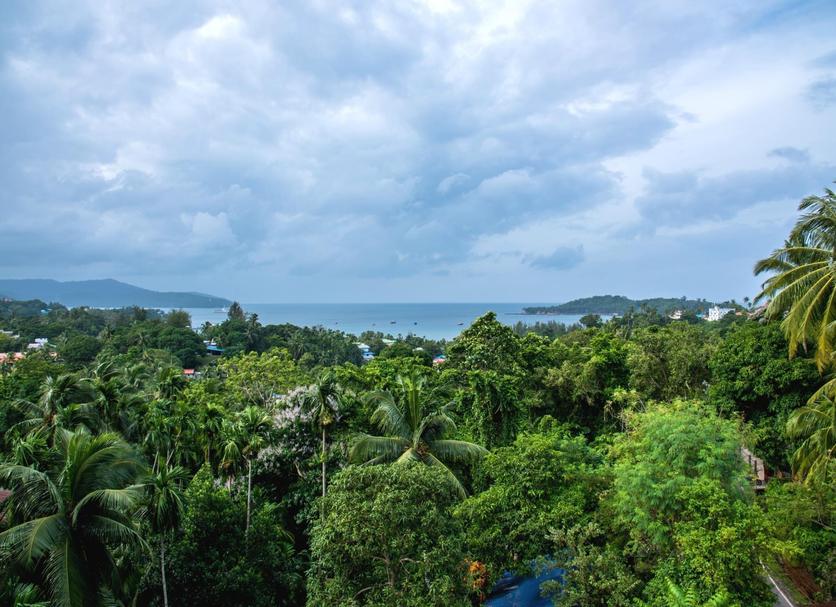 Outdoors view Photo