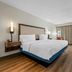 Hampton Inn Birmingham/Trussville guest room with king bed, desk, TV and large window in Trussville