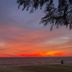 Sunset sea view at Puteri Bay Hotel in Malacca with silhouetted shoreline and overhanging branches
