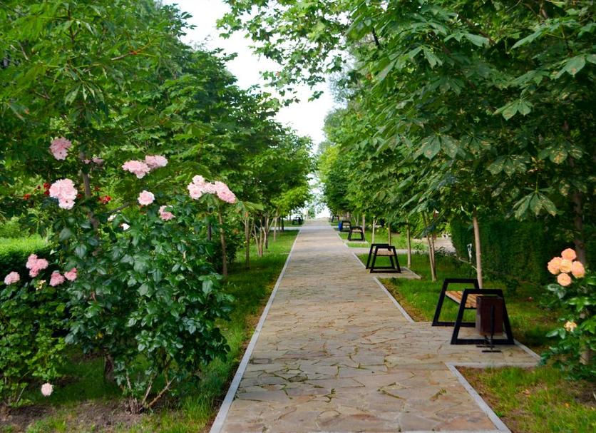 Outdoors view Photo