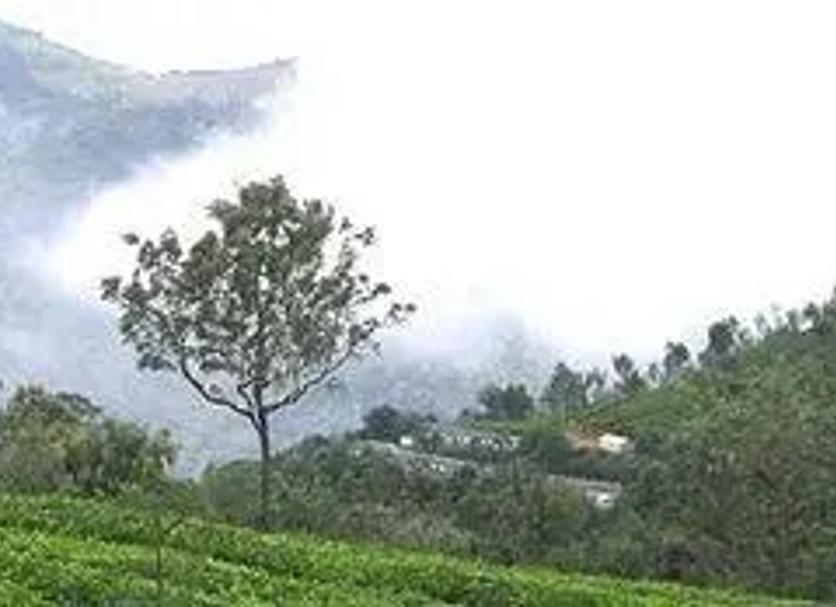 Outdoors view Photo