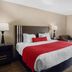 SureStay by Best Western Greenville guest room with king bed, red bedding, lamps, and chair