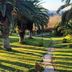 Agriturismo Baglio Vecchio in Castelvetrano with palm trees, sunlit lawn, and stone path