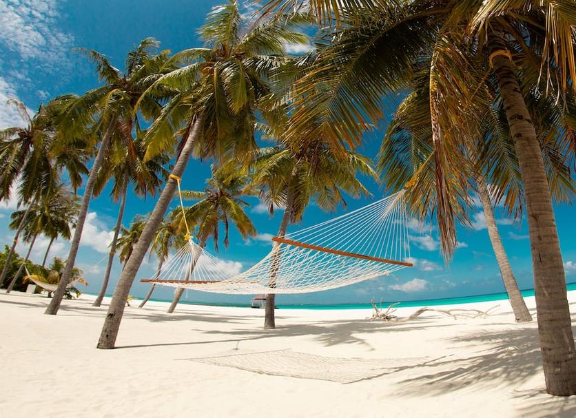 Beach Photo