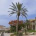 Ein Gedi Kibbutz Hotel in En Gedi with palm trees and desert-side balconies