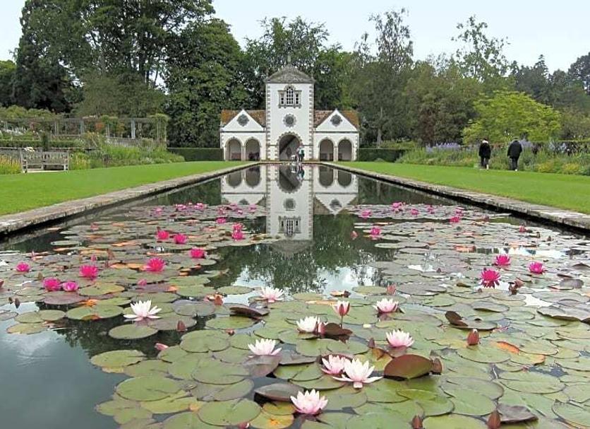 Other Photo