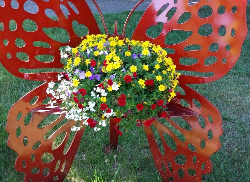 Other Photo