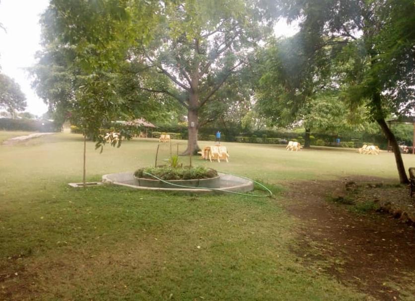 Outdoors view Photo