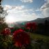 Outdoors view