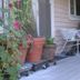 Outdoors view