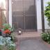 Outdoors view