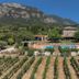 Casale Giancesare Villa Agricola in Capaccio with vineyard rows, pool, and mountain backdrop