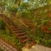 Pousada Ecoilha in Ilhabela with a tropical garden stairway and stone path beside parked car