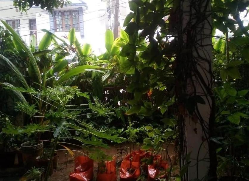 Outdoors view Photo