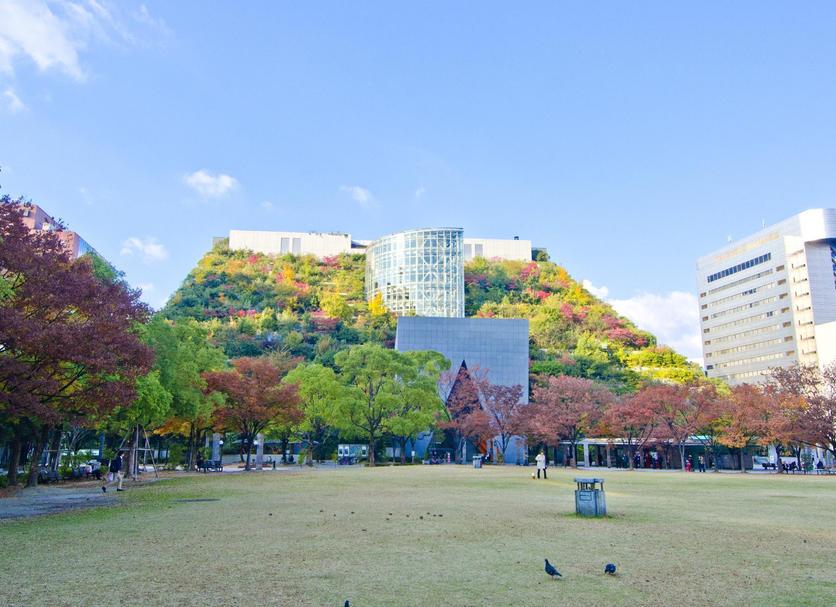 Outdoors view Photo