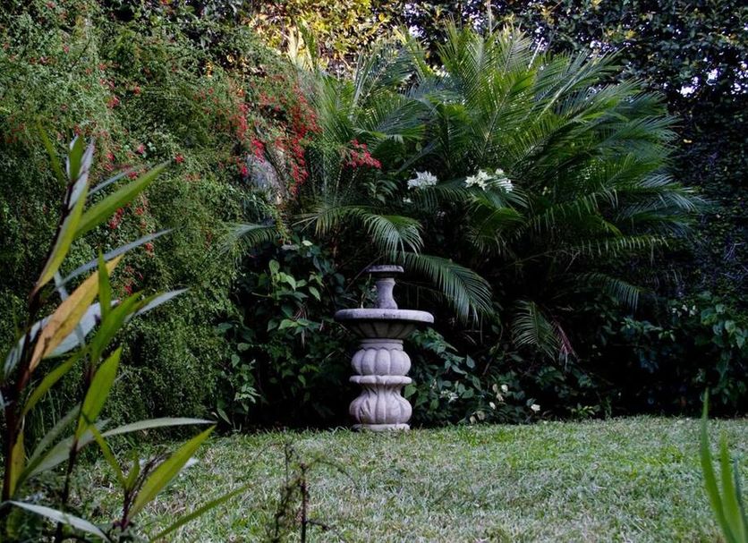 Hotel Colibri in Managua garden with lush tropical plants and a decorative stone fountain