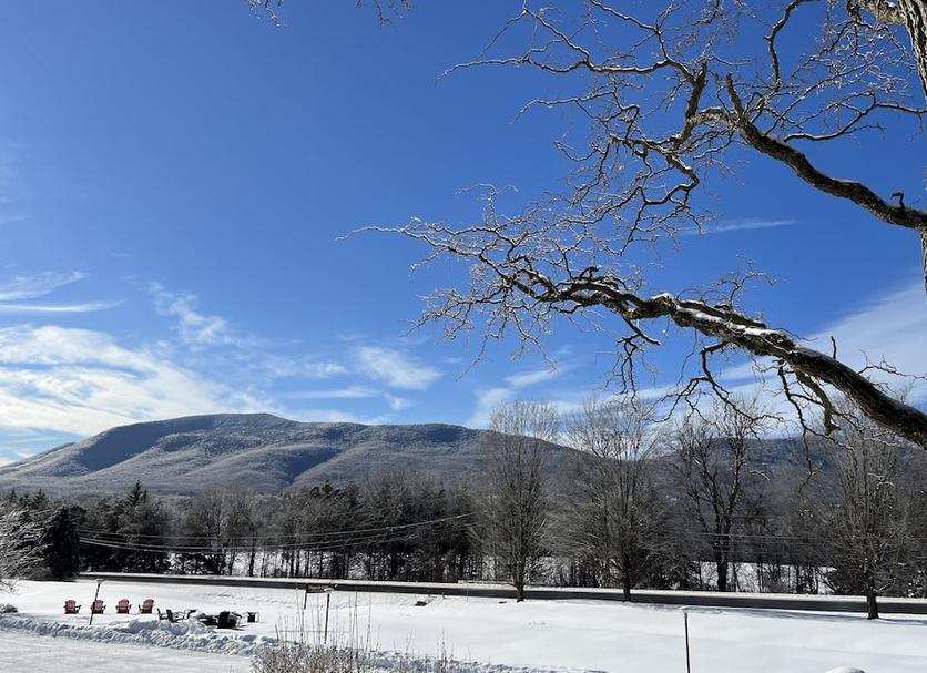 Outdoors view Photo