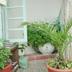 Outdoors view