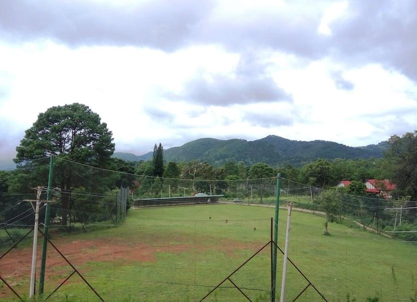 Other Photo