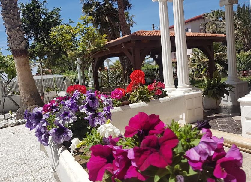 Outdoors view Photo