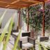 Hotel Residencial Los Frayles in Paracas: shaded patio seating with pergola and flowering vines