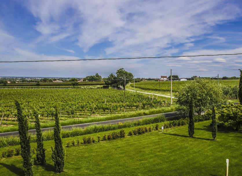 Outdoors view Photo