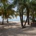 Oudja Hotel in Cap Skirring with palm trees framing a sandy beach and ocean view