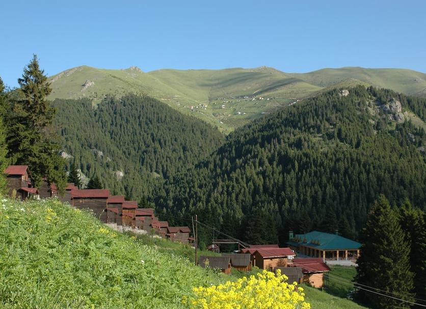 Outdoors view Photo