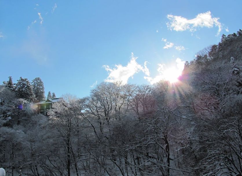 Guest House Koundo in Nikkō with snow-covered trees and sunlit mountain view