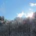 Outdoors view
