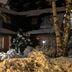Hosteria La Raclette in San Martín de los Andes, snowy exterior with trees at night