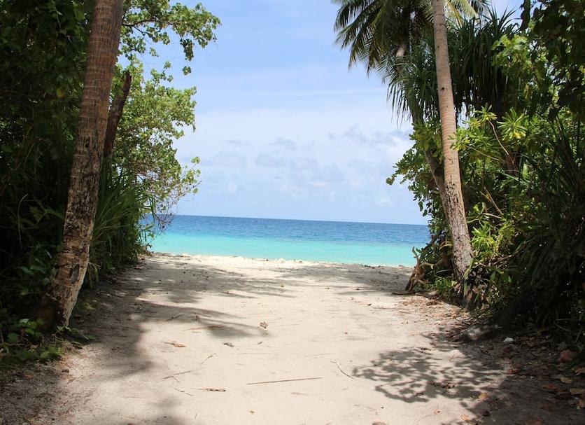 Beach Photo