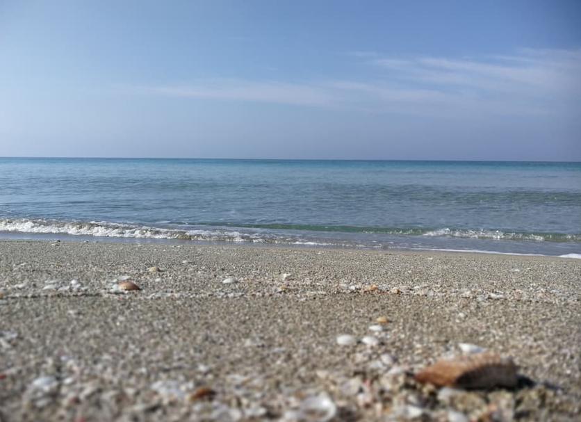 Beach Photo