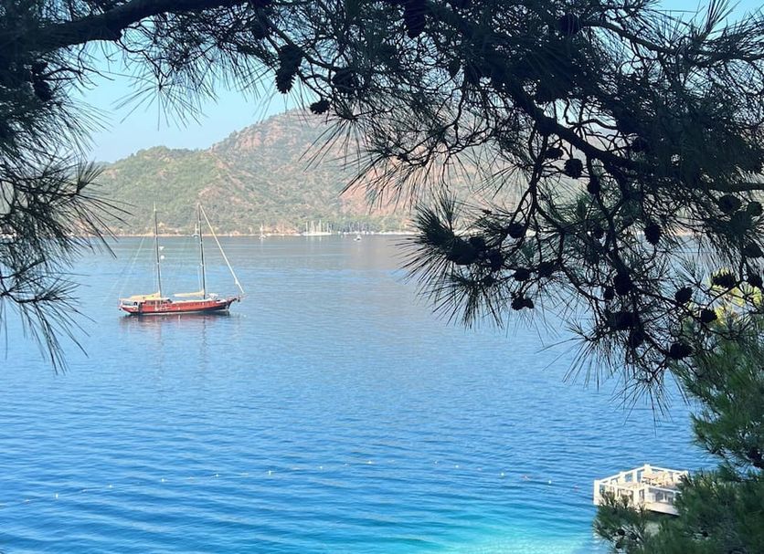 Dedeminn Marina Hotel in Göcek with harbor view, sailboat on calm blue water, and pine-framed coastline