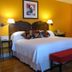 Colony Hotel & Cabana Club in Delray Beach guest room with bed, red bench, dresser and yellow walls