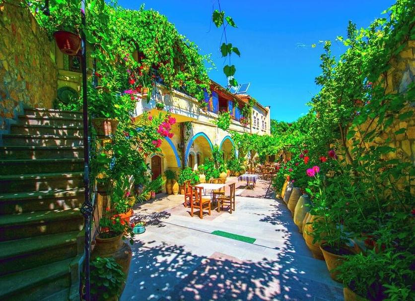 Patio Photo