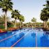 VOGO Abu Dhabi Golf Resort & Spa pool with palm trees and red loungers in Abu Dhabi