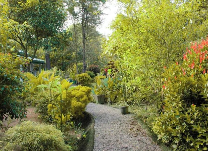 Outdoors view Photo
