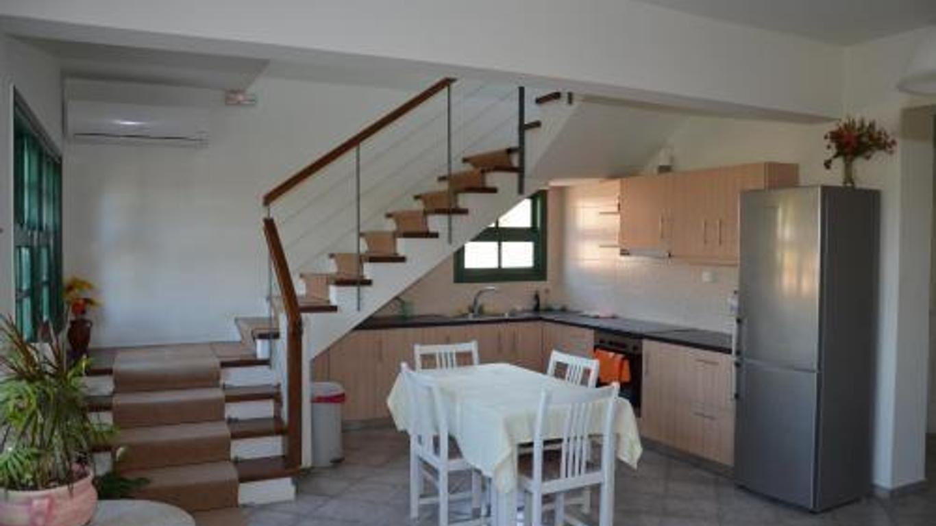 Rena's House