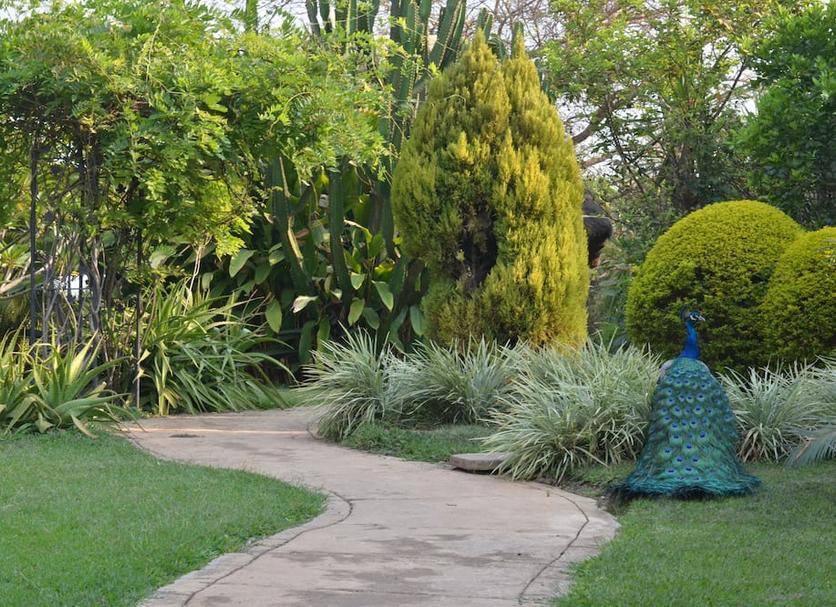 Outdoors view Photo