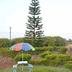Outdoors view