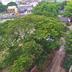 Outdoors view