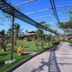 Porto Preguiças Resort in Barreirinhas with a garden walkway under a vine-covered pergola