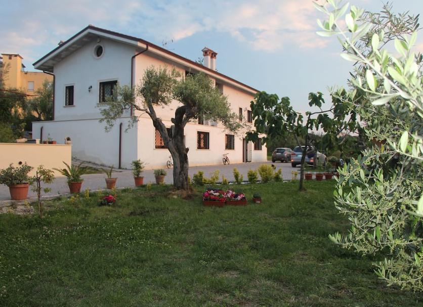 Other Photo
