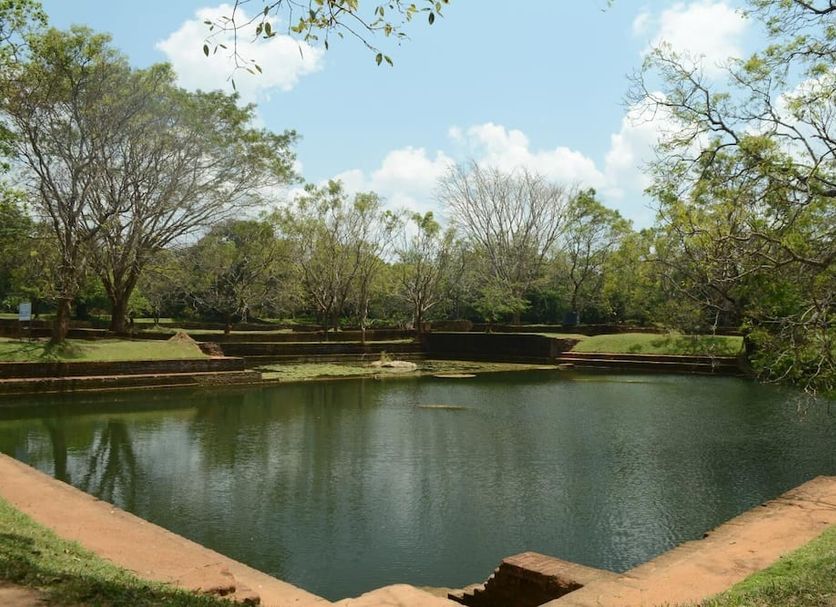 Alikele Hotel Sigiriya in Dambulla: tranquil pond surrounded by trees and grassy banks