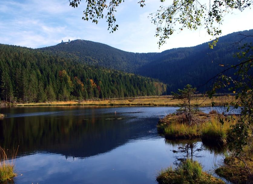Wander und Aktiv Hotel Rösslwirt in Lam with scenic lake and forest mountain view